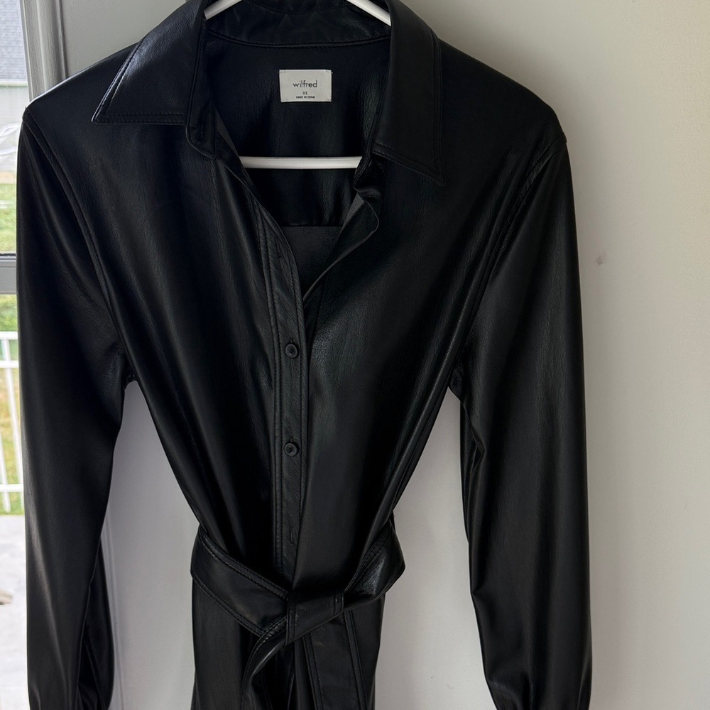 Aritzia Wildfred Leather Shirt Dress